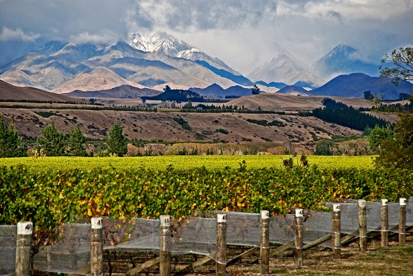 Autumn_in_the_Awatere_Valley